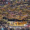 20.12.2008  SG Dynamo Dresden - FC Rot-Weiss Erfurt  1-1_36
